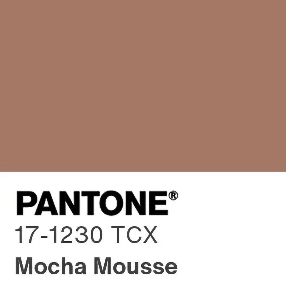 Pantone 2025 color of the year Mocha Mousse